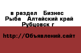  в раздел : Бизнес » Рыба . Алтайский край,Рубцовск г.